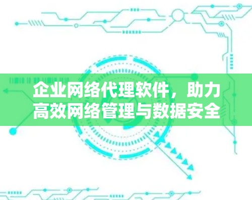 企业网络代理软件，助力高效网络管理与数据安全